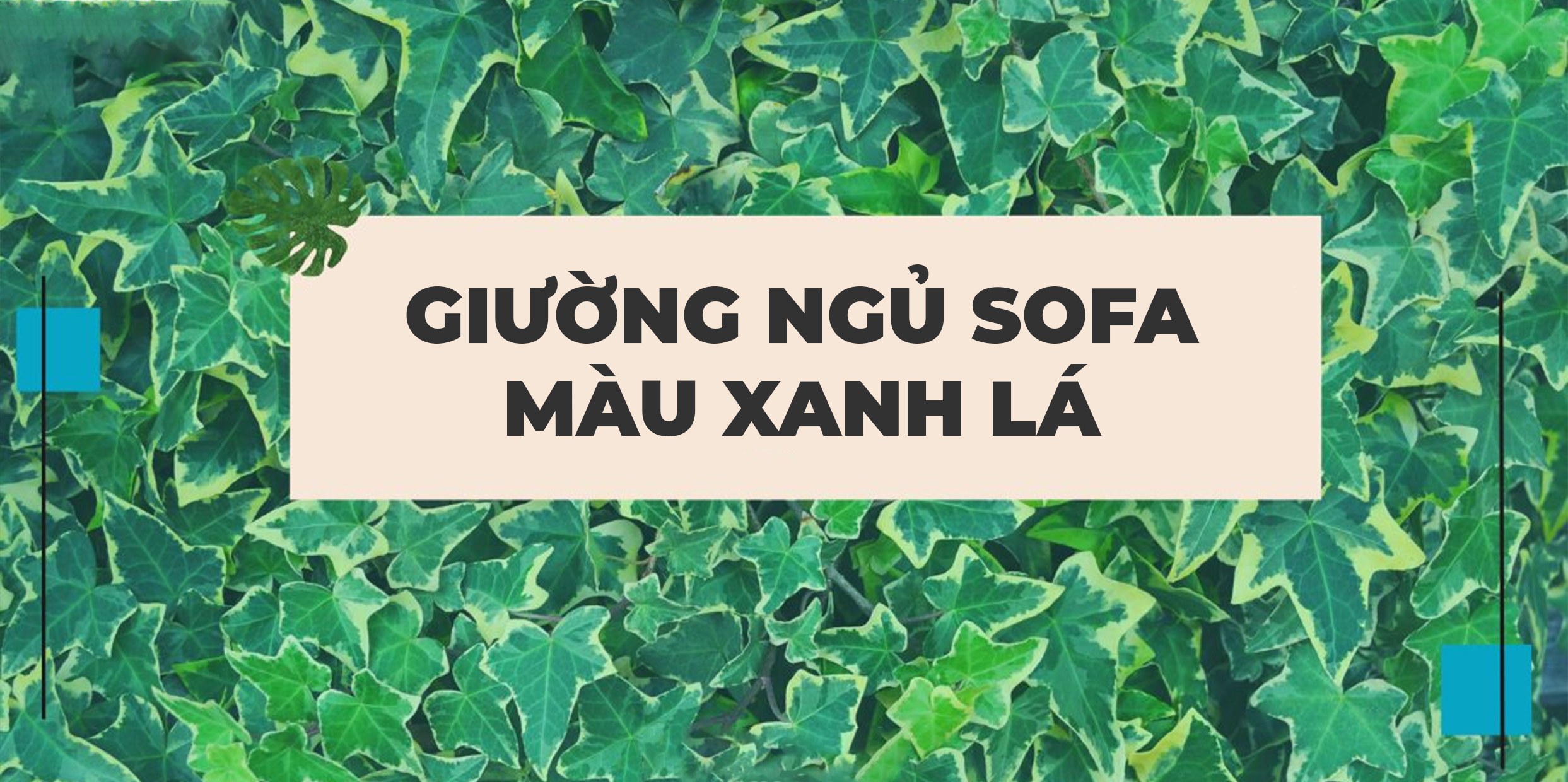 GIƯỜNG NGỦ SOFA MÀU XANH LÁ & Ý NGHĨA ĐẶC BIỆT TRONG KHÔNG GIAN SỐNG