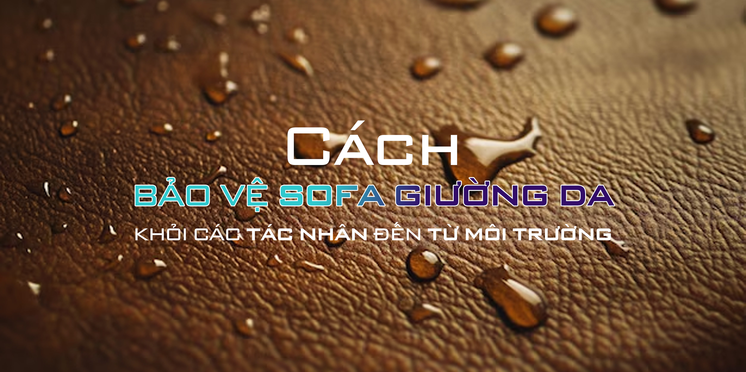 CÁCH BẢO VỆ SOFA GIƯỜNG DA KHỎI CÁC TÁC NHÂN ĐẾN TỪ MÔI TRƯỜNG